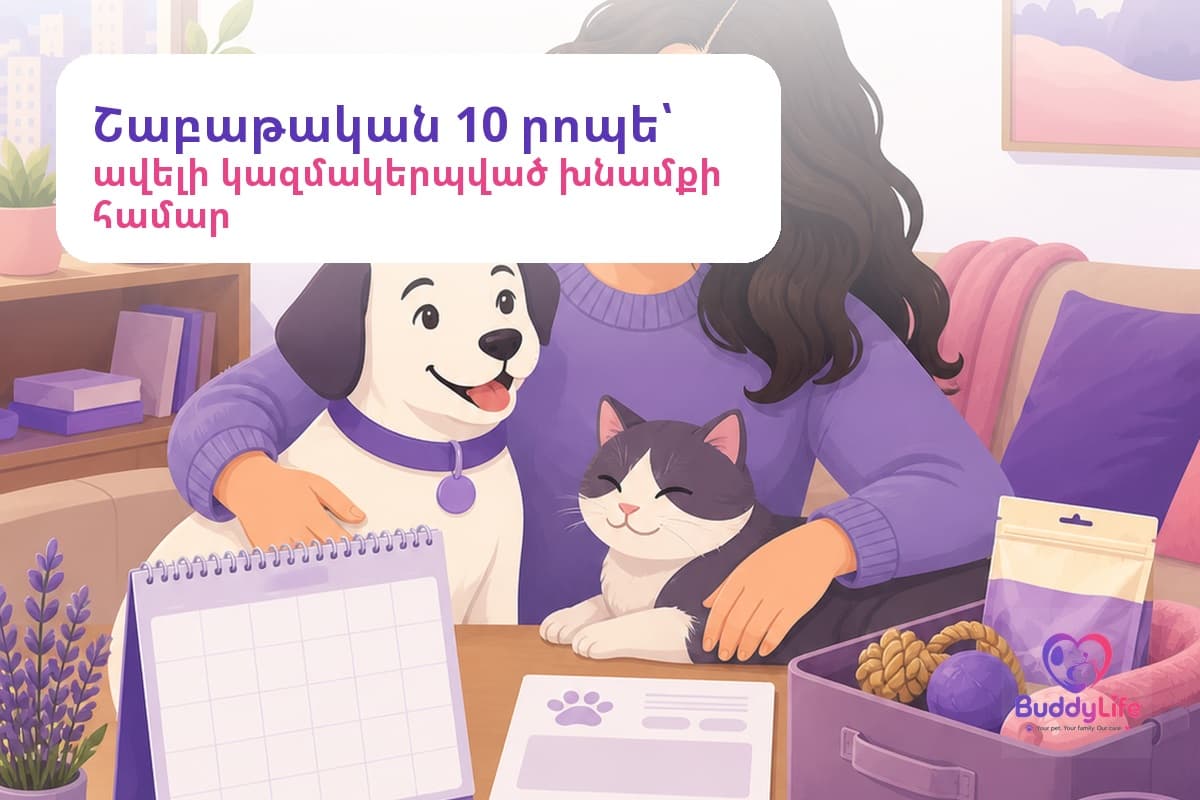 Շաբաթական 10 րոպե՝ կենդանուդ խնամքը կազմակերպելու համար