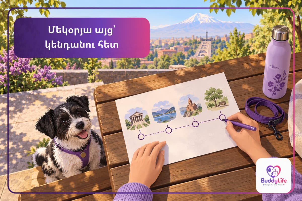 برنامهٔ یکصفحهای برای گردش یکروزه با حیوان خانگی
